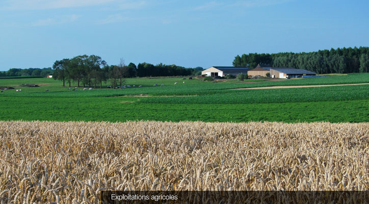 Exploitations agricoles © Fotolia