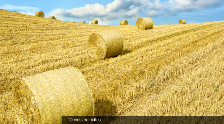 Paille en ballot © Fotolia