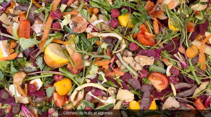 Déchets de fruits et légumes © Fotolia