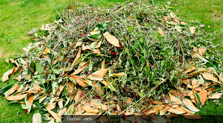 Déchets verts © Fotolia