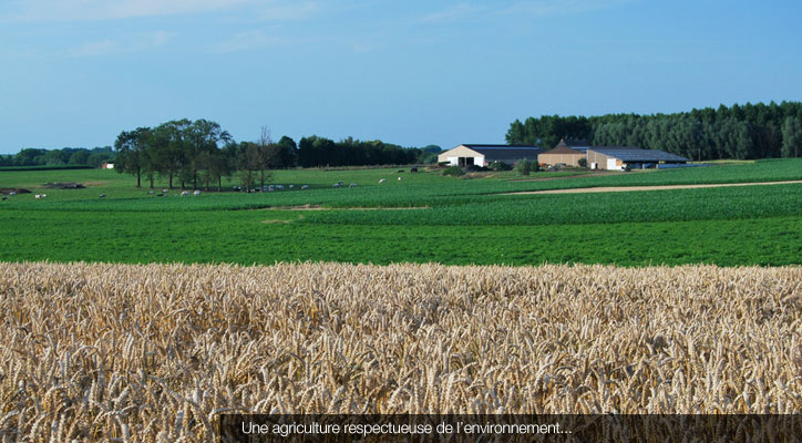 Exploitation agricole © Fotolia