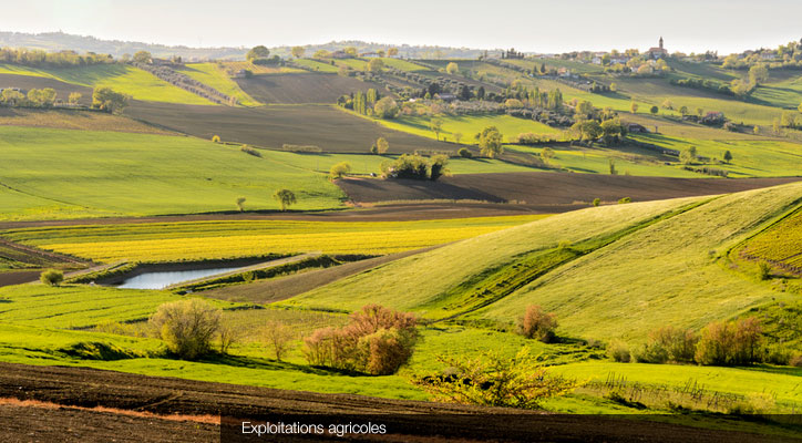 Exploitations agricoles © Fotolia